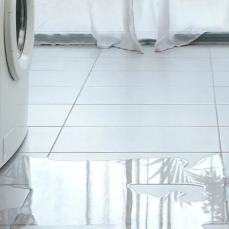 Appliance Leak Cleanup in Berrien County, MI