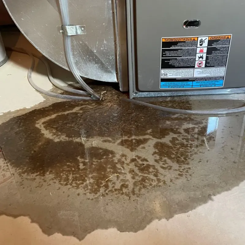 Pipe Burst and Leak Restoration in Berrien County, MI