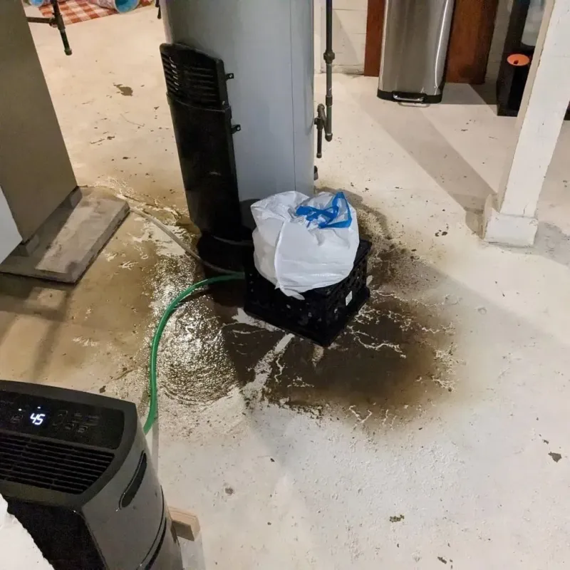 Sewage Backup Cleanup Service in Berrien County, MI